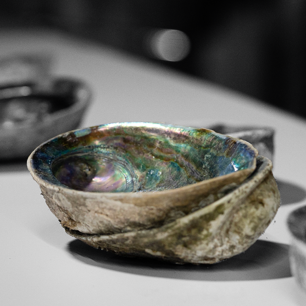 The Étoile — Malachite Handle