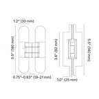 Concealed Solid Brass Recessed Hinge — 5.5" H × 1.2" W